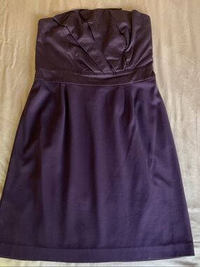 Anthropologie Strapless Pleated A-Line Dress in Plum